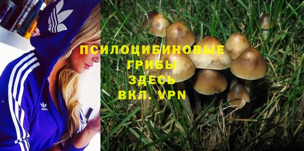 твердый Заволжск
