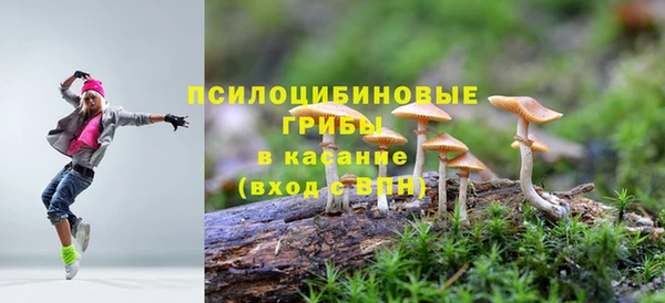 твердый Заволжск