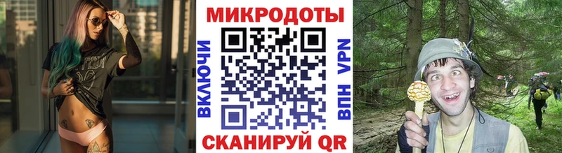 Галлюциногенные грибы Cubensis  Купить  Брюховецкая 